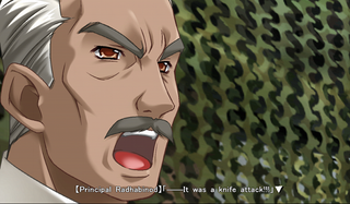 Illustration for article titled Muv-Luv Altered Fable is the Epilogue I Didn't Know I Needed
